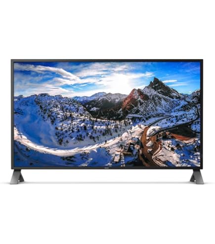 PHILIPS - phillips 4K 42.5インチ モニター Philips 3840 x 2160 Pixels 4K Ultra HD LED Computer Monitor